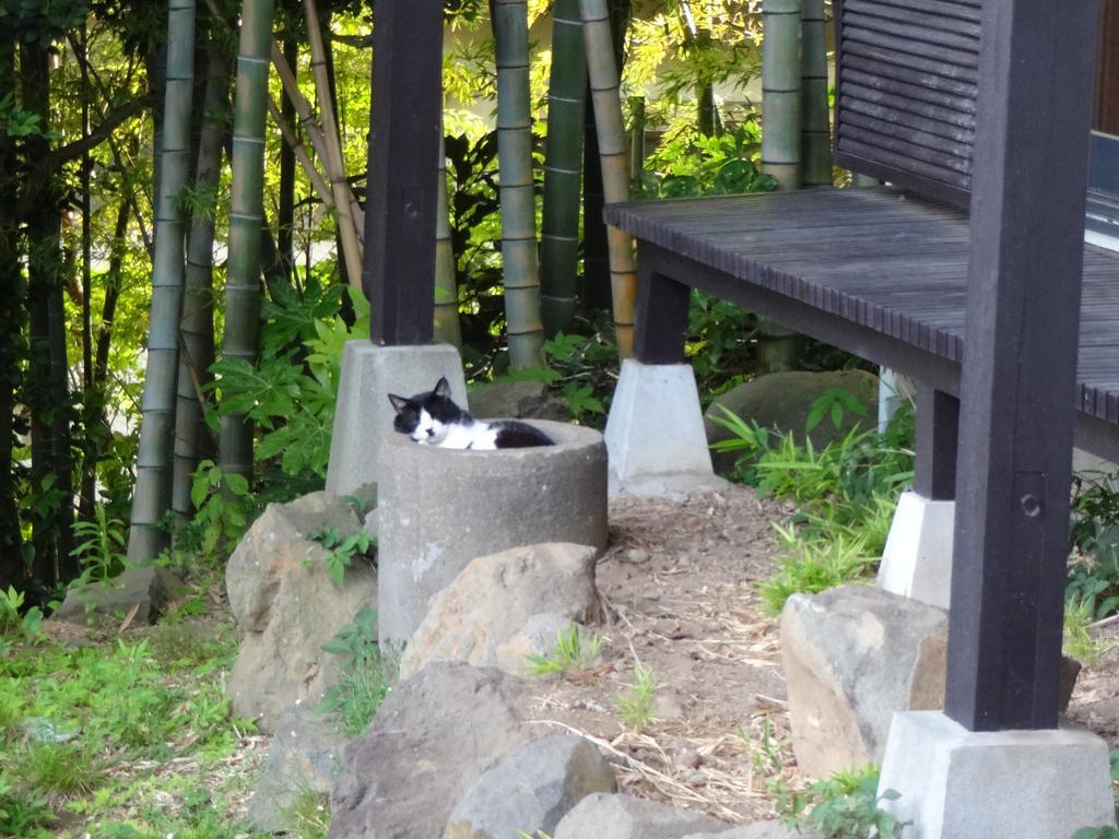 Ryokan Izuna Atami  Εξωτερικό φωτογραφία